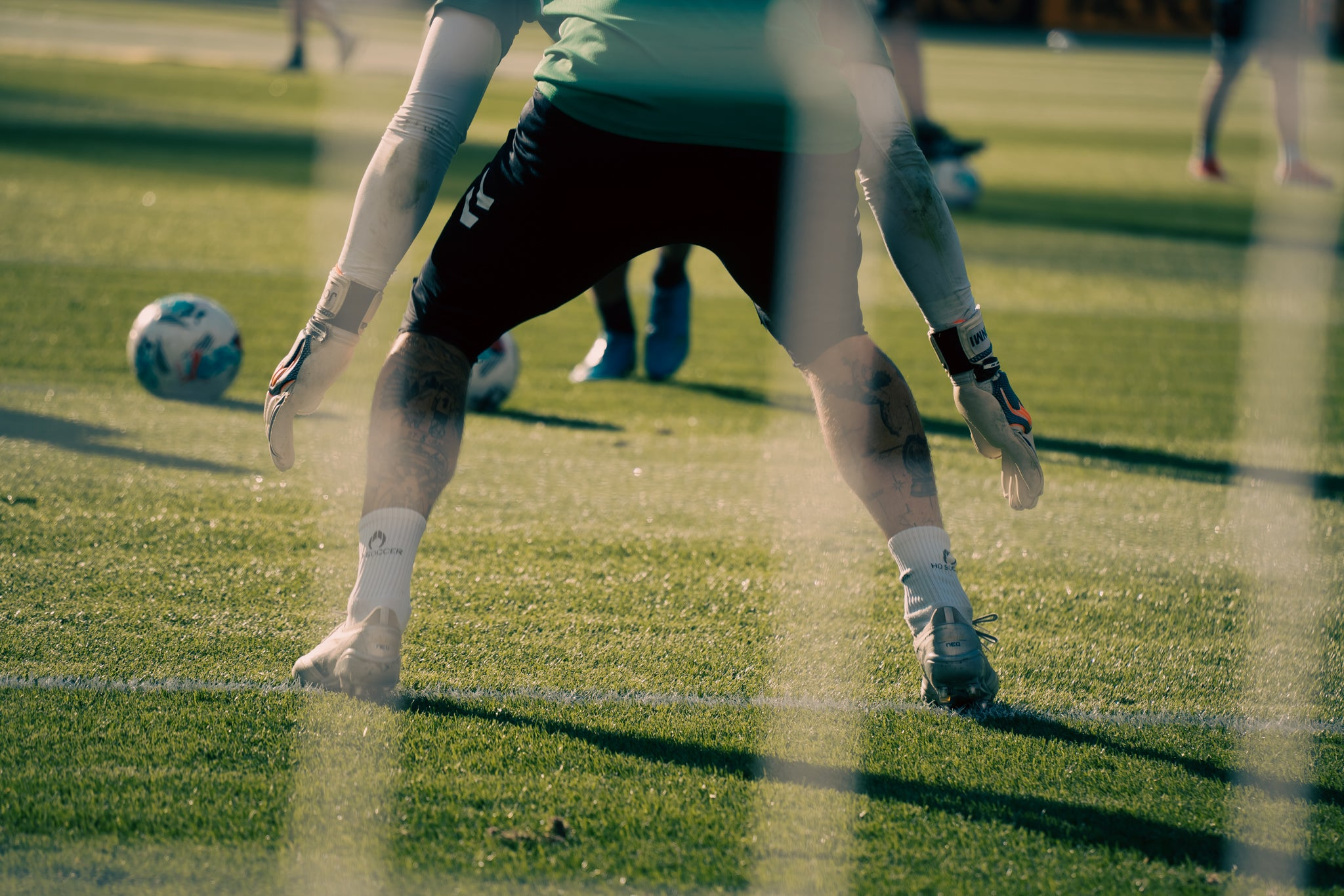 Entrenamiento (Próximamente)